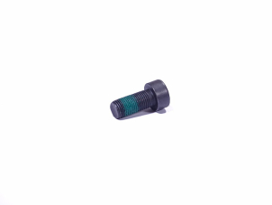 Vauhtipyörän pultti (M10x22,3x1) OEM WN90665001