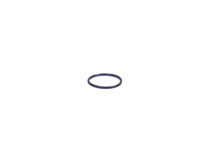 O-rengas (21x1,5) OEM WN90978801