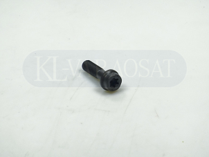 Pultti nokka-akselin rattaalle (M7x25) OEM 25504