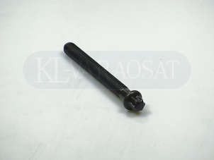 Torx pultti värinänvaimentimeen (M10x86) OEM 27007