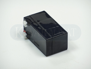 Akku 12V/1.3Ah  W164,W212,W221,W251 000000004039